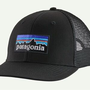 Patagonia P-6 Logo Trucker Hat